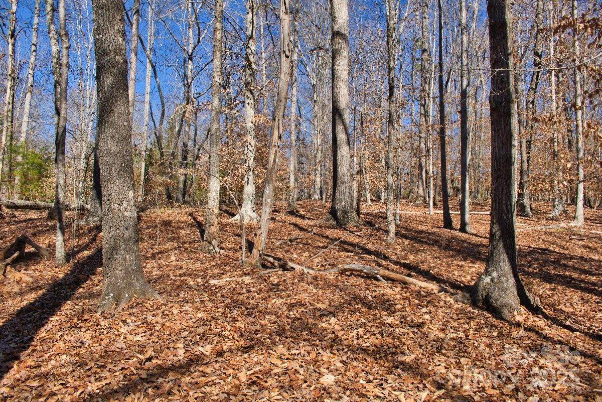 0 Cinnamon Ridge - Photo 1