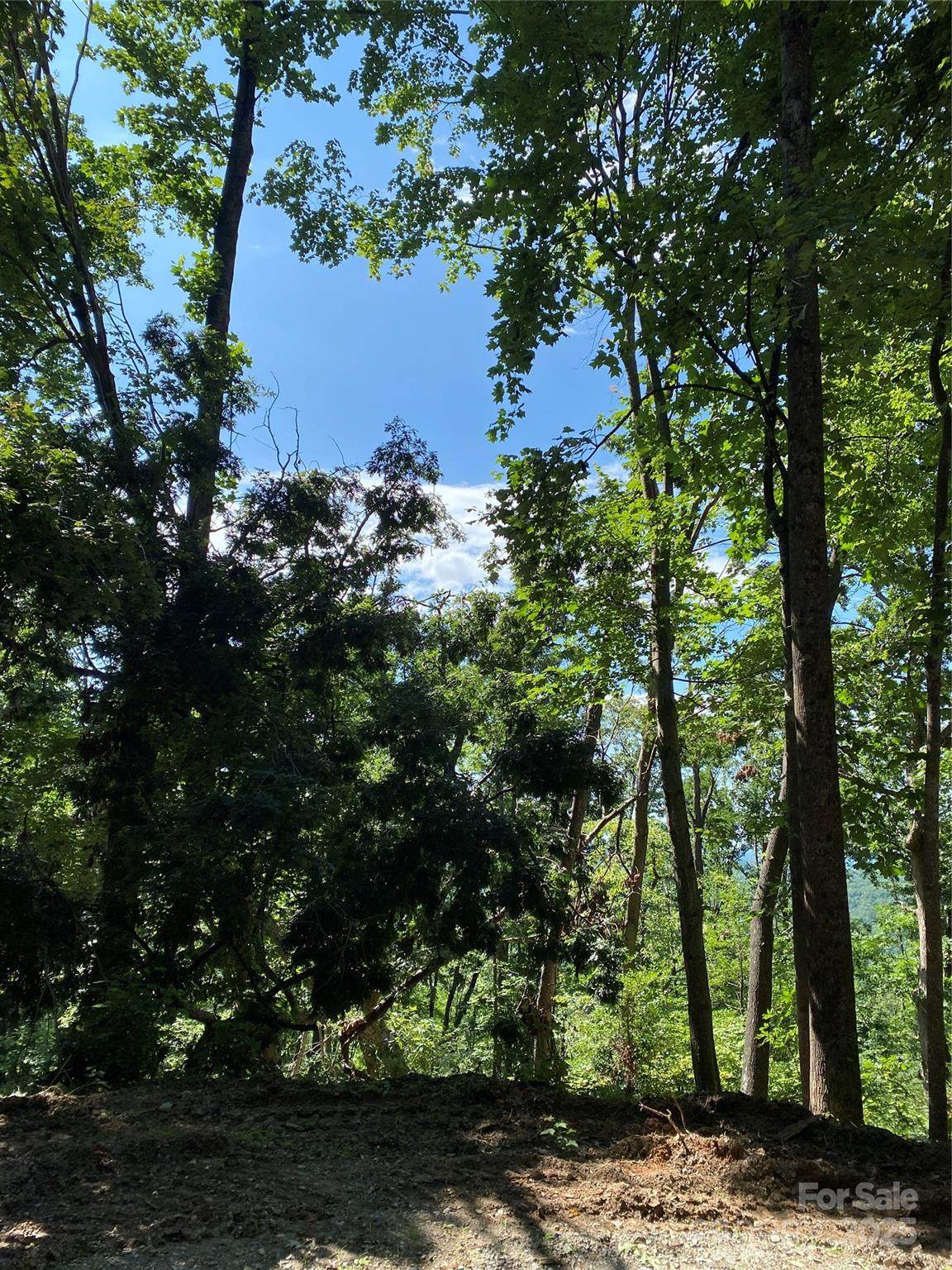 0 Winesap Boulevard - Photo 1