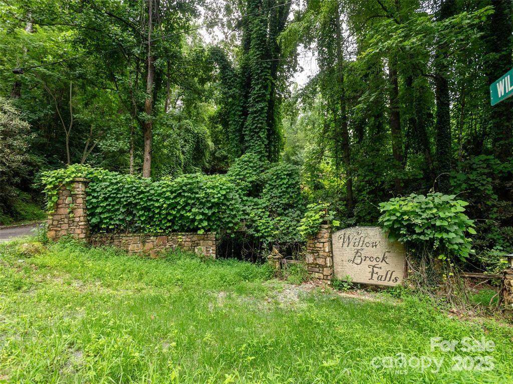 00 Willow Brook Falls - Photo 1
