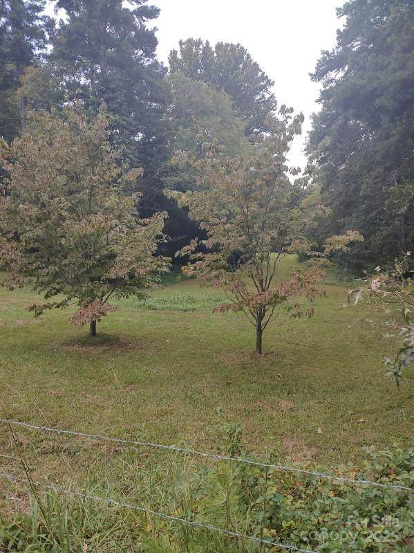 12514 Idlewild Road - Photo 1