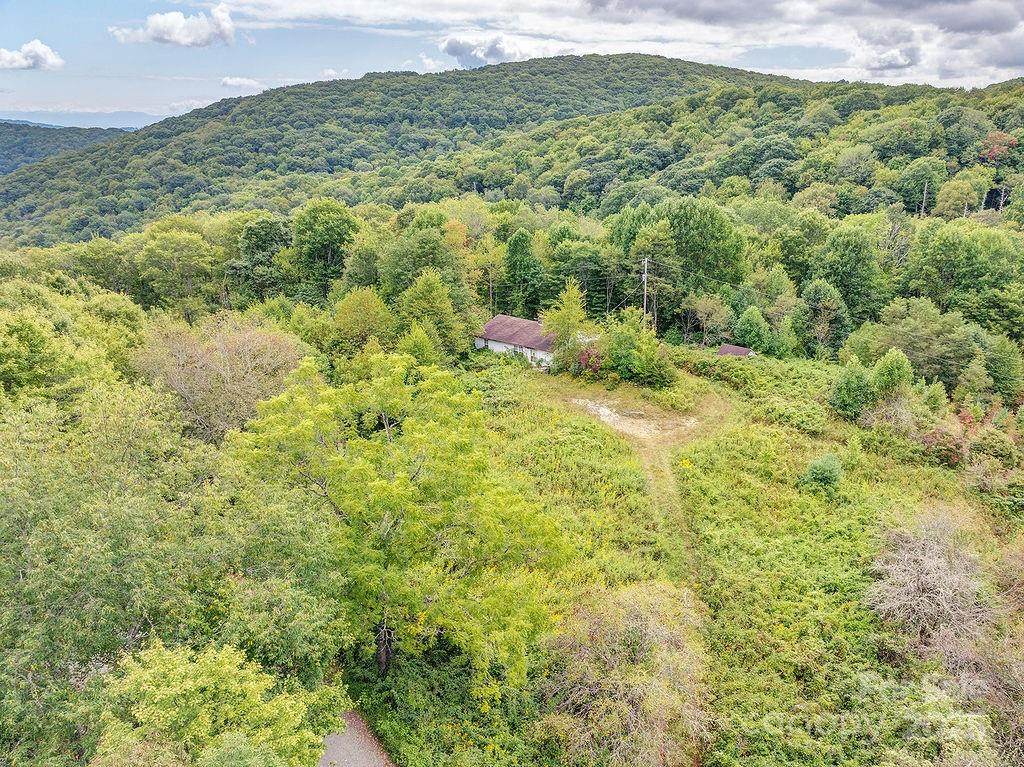 7130 Max Patch Road - Photo 1