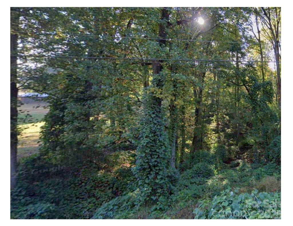 1502 Mt Ulla Hwy Highway - Photo 1