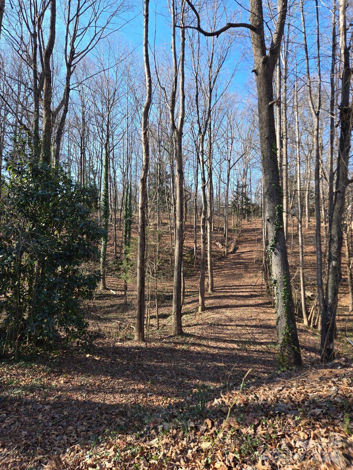 000 Spring Valley Lane - Photo 1