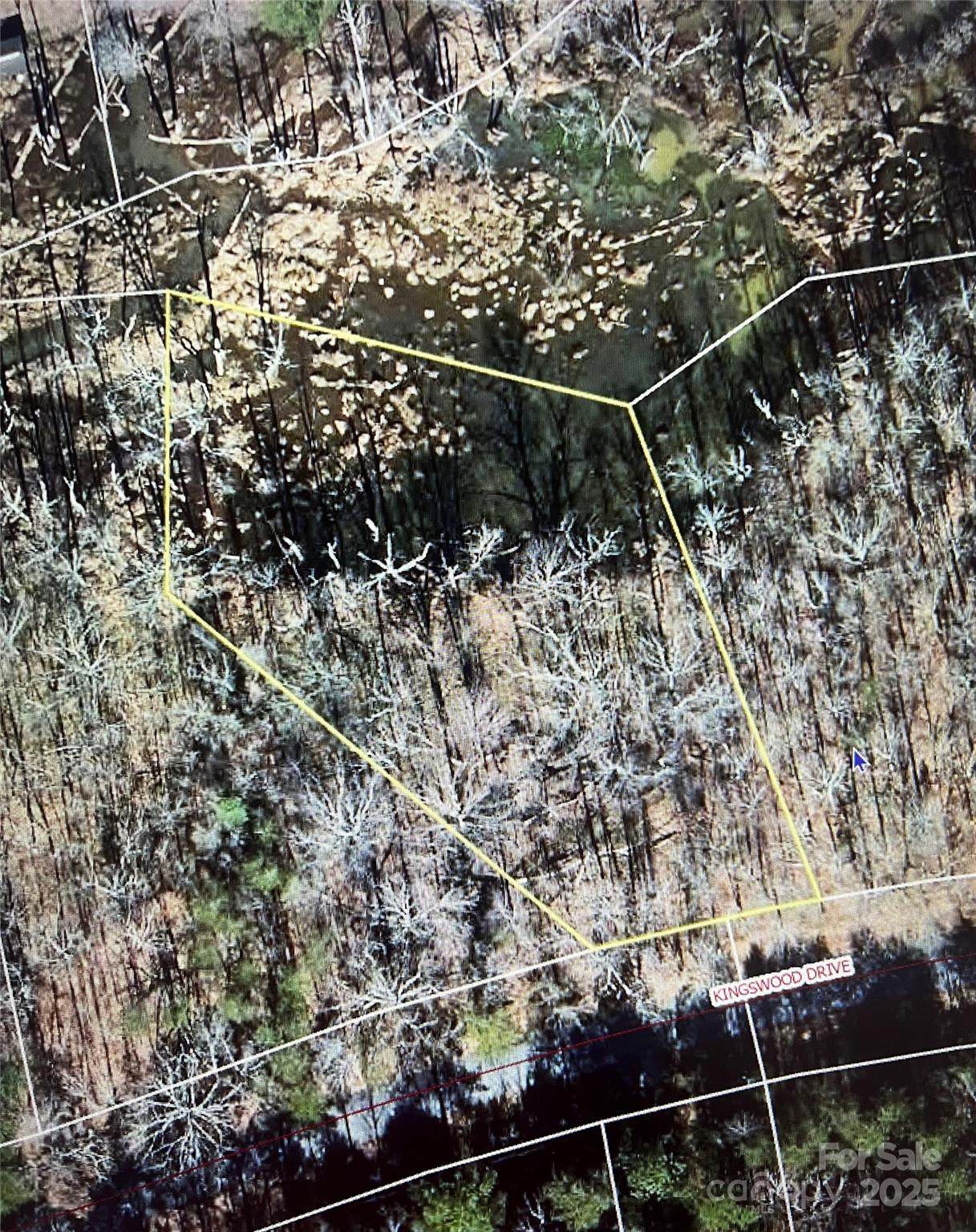 0 Kingswood Drive - Photo 1