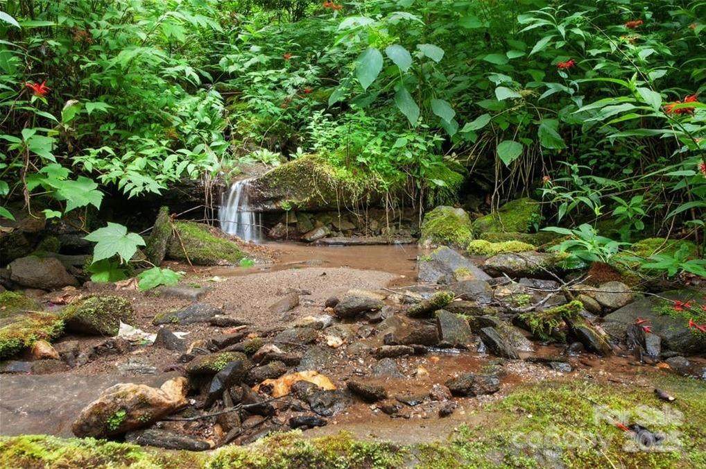 15 Mountain Mint Drive - Photo 1