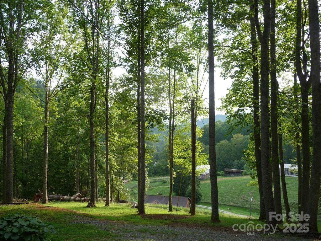 0 Joe Shoemaker Road - Photo 1