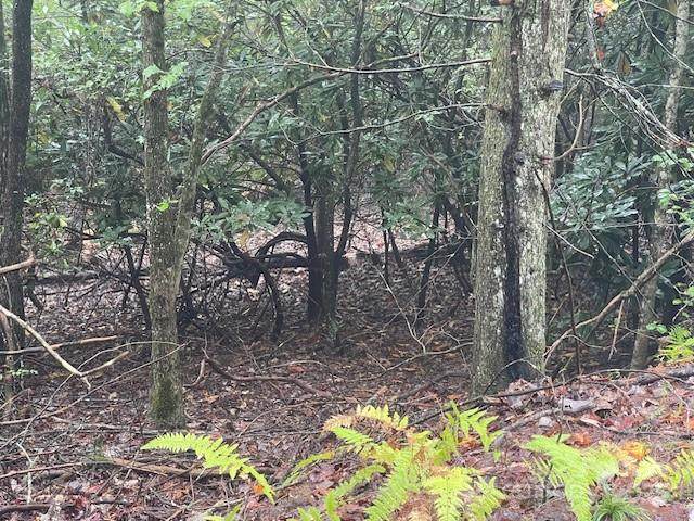 00 Mcdonald Court - Photo 1