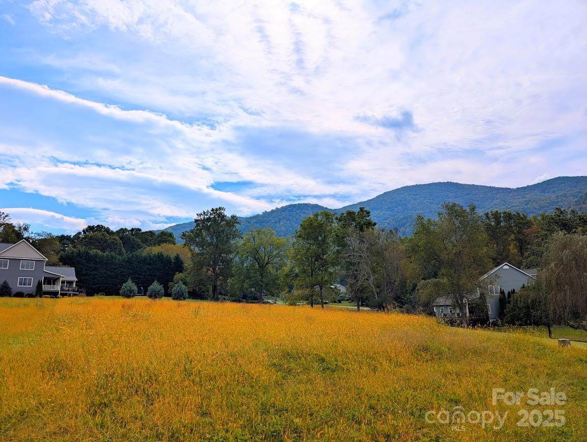 00 Stepping Stone Lane - Photo 1