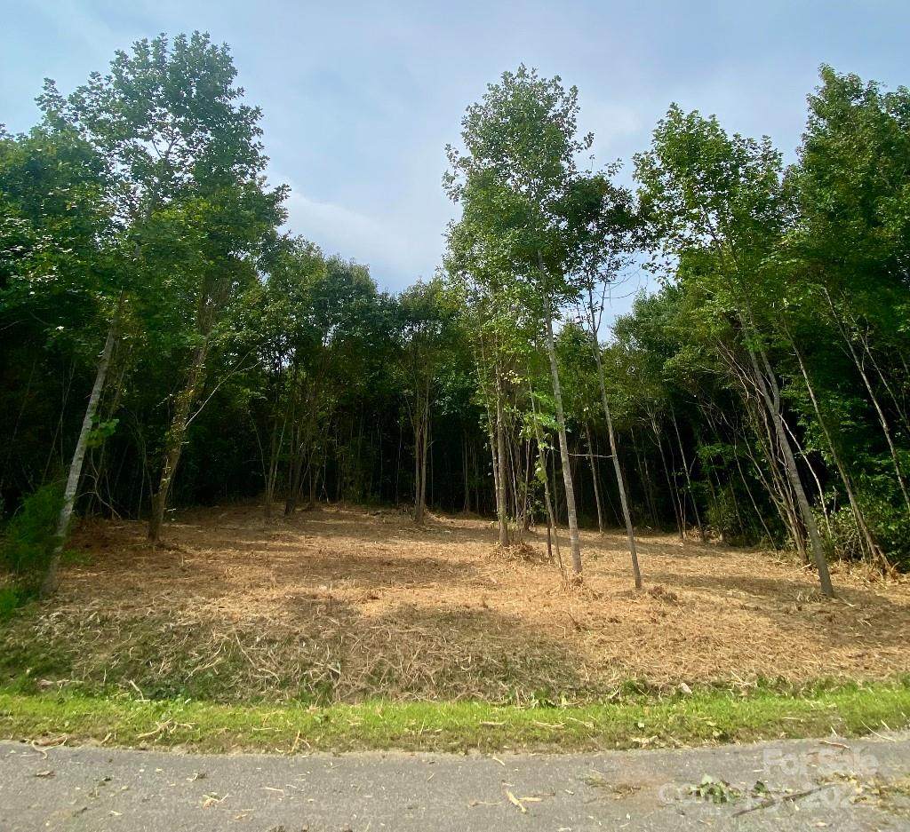 3 Erwin Temple Church Road - Photo 1