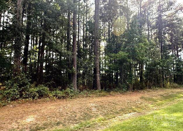 Lot 12 Indian Town Creek Drive - Photo 1