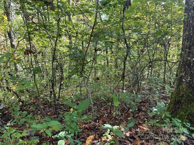 H16-H17 Shady Grove Road - Photo 1