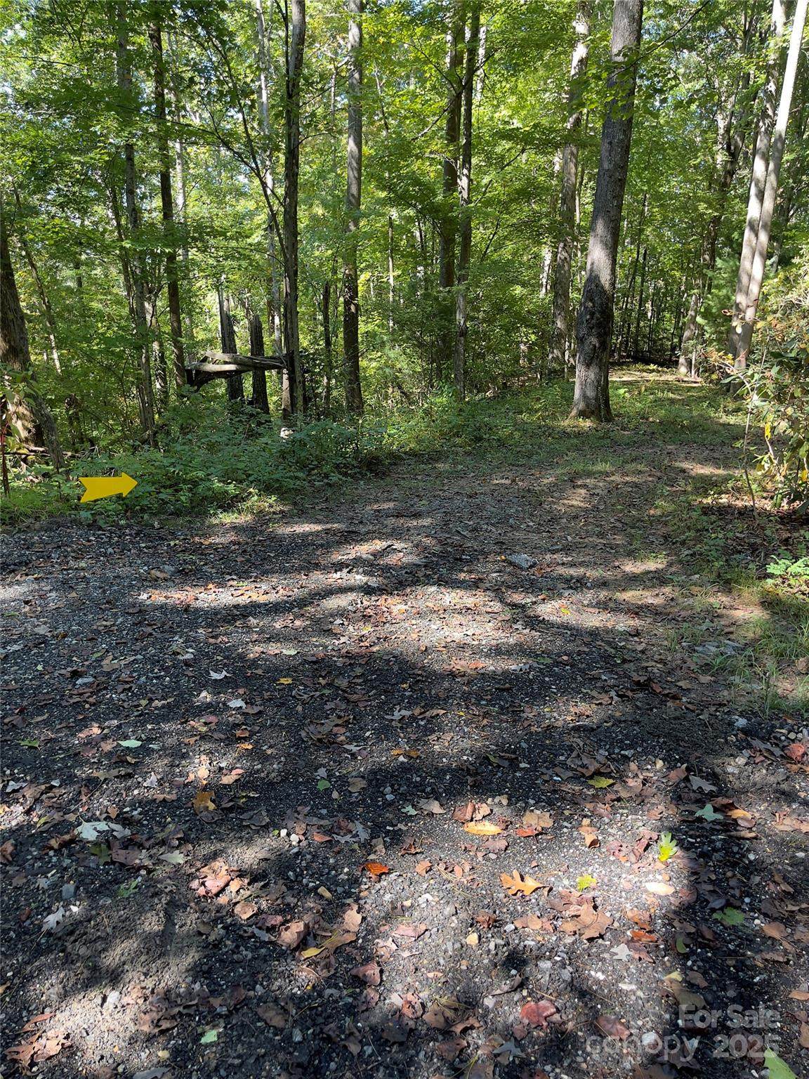 0 Empress Lane - Photo 1