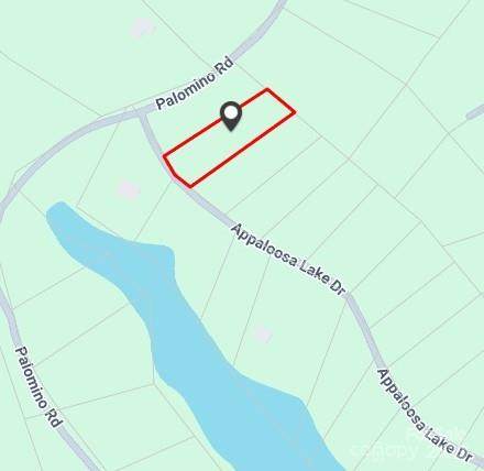 0000 Appaloosa Lake Drive - Photo 1