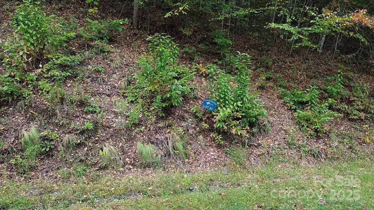 31 Waterdance Drive - Photo 1