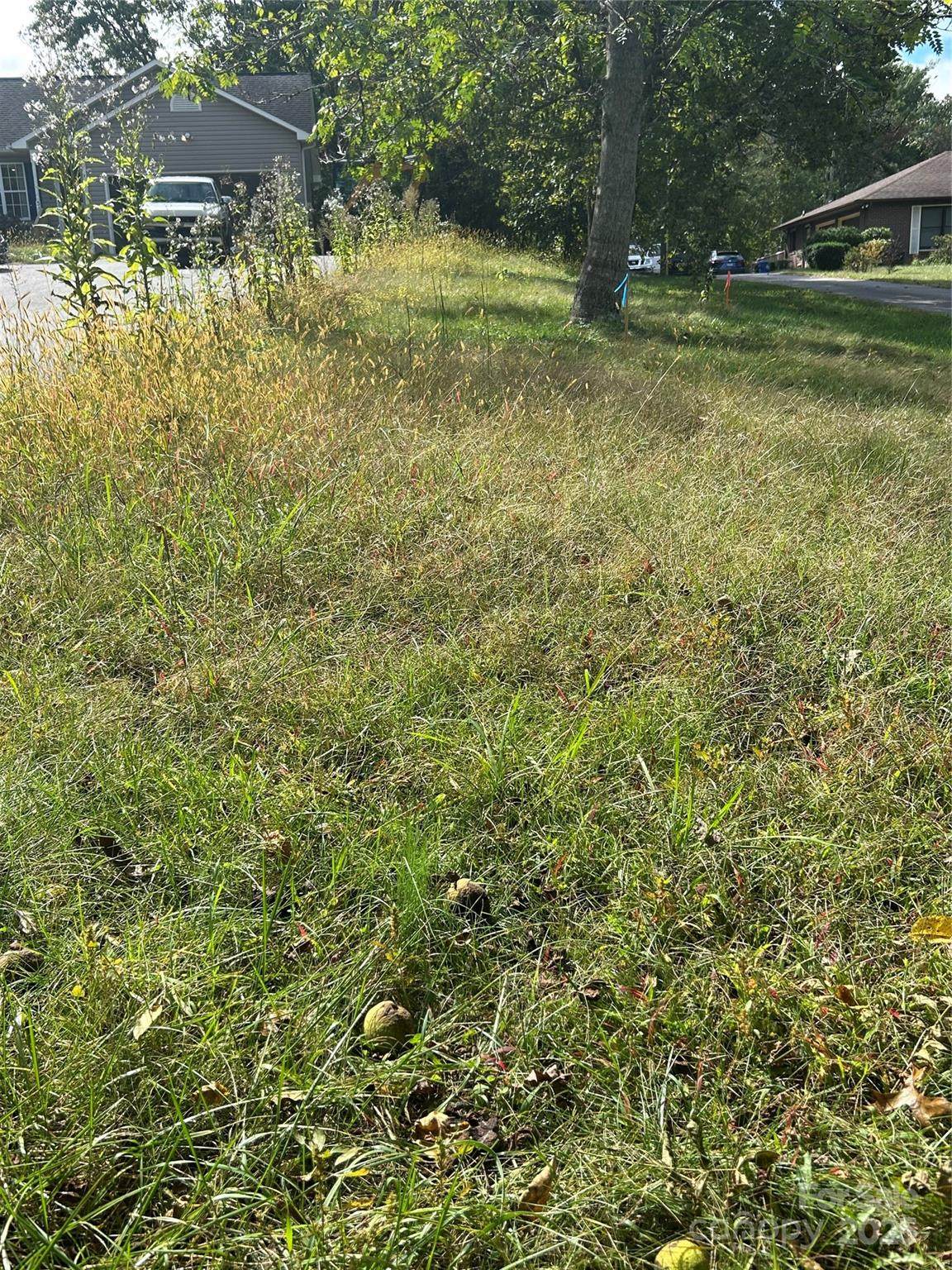 59 Wyatt Street - Photo 1