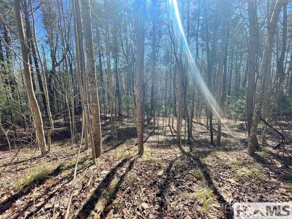 1 Bear Log Road - Photo 1