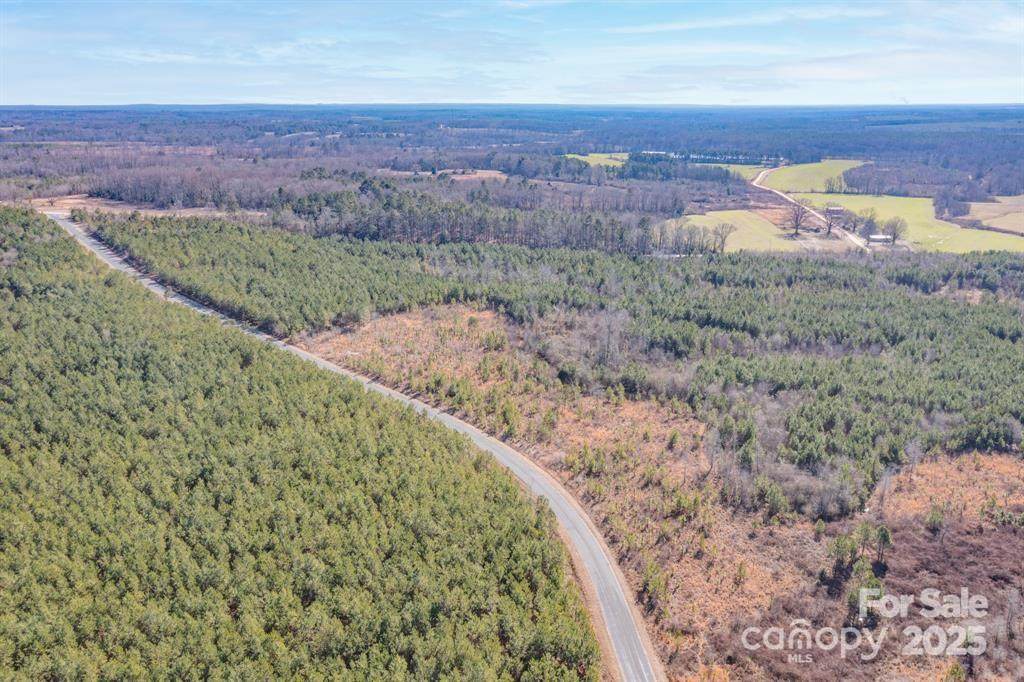 TBD Mt Pisgah Church Road - Photo 1