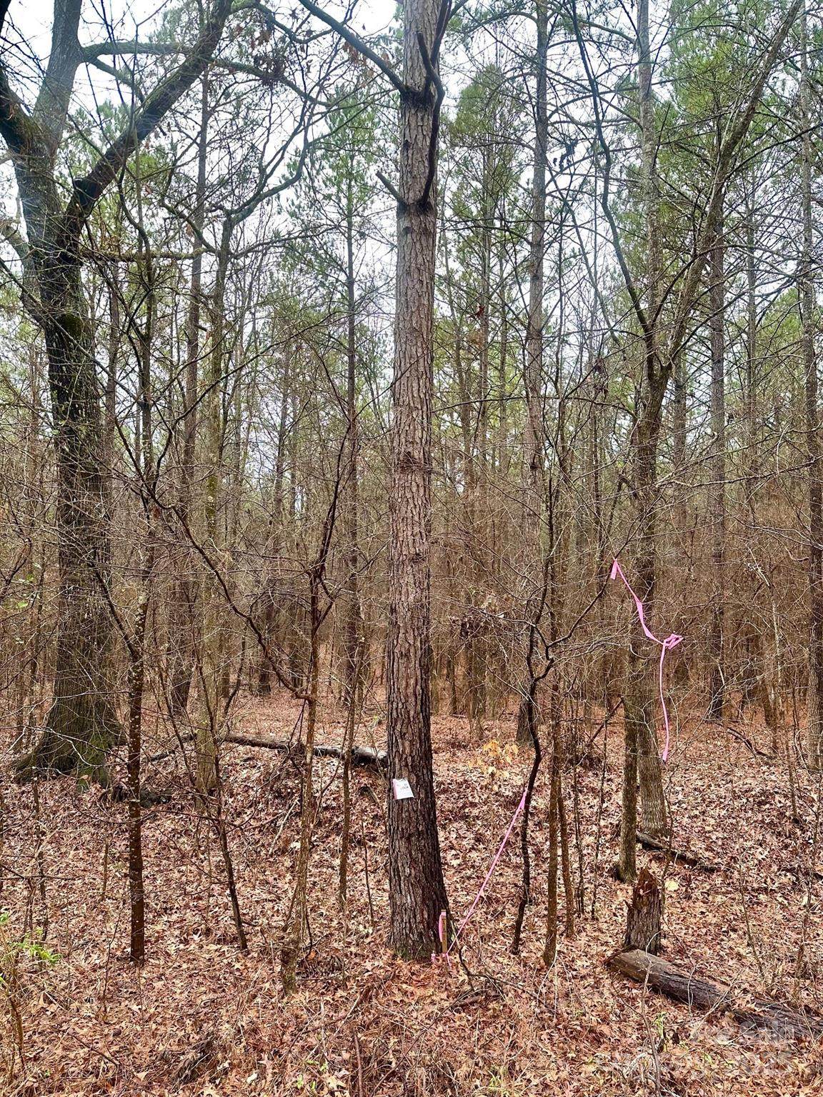 1176 Great Falls Highway - Photo 1