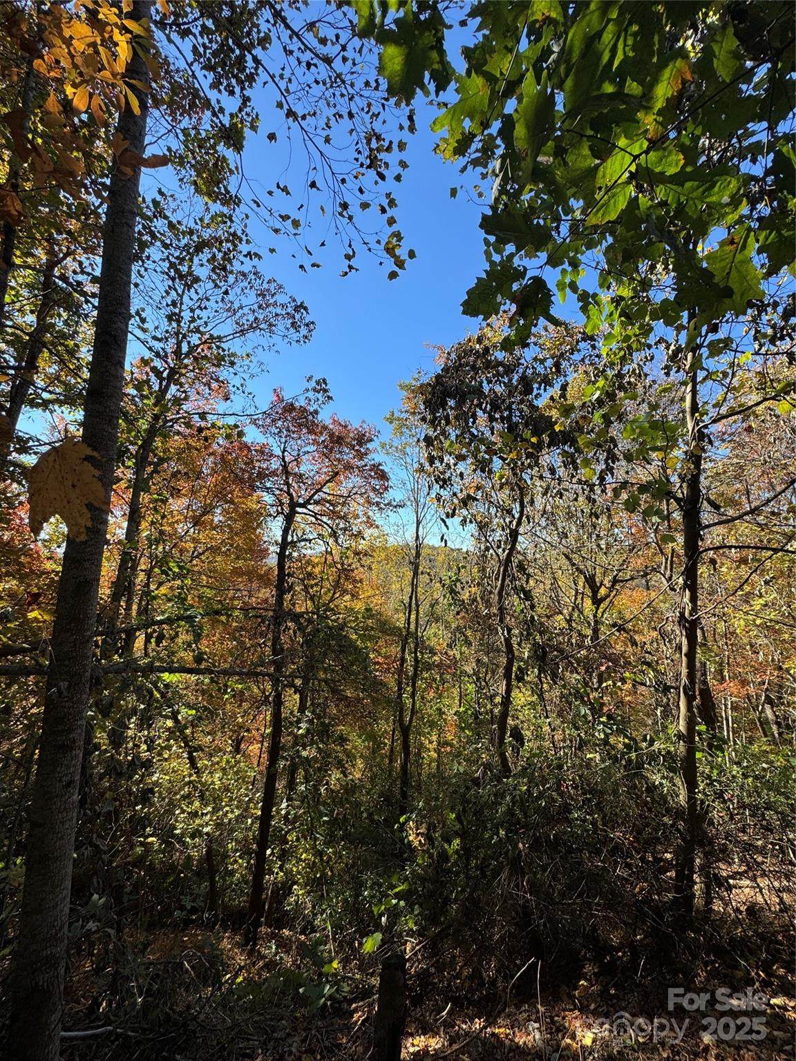 9999 Hemlock Trail - Photo 1