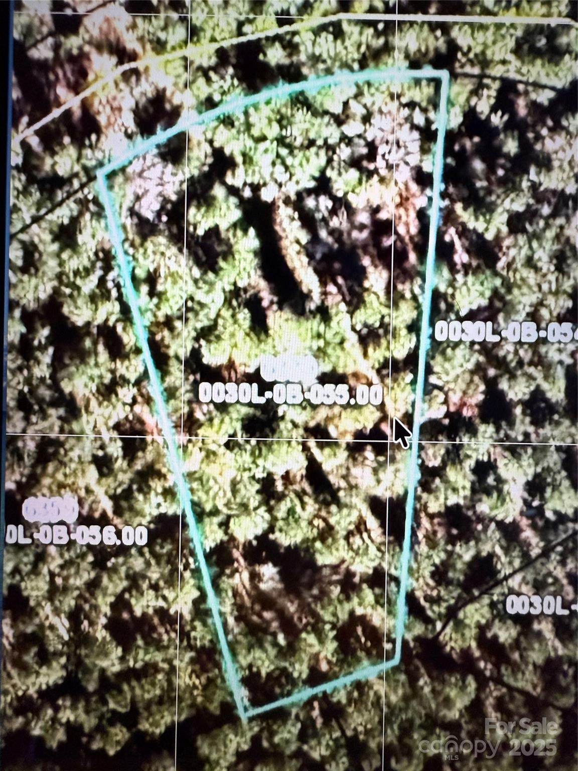 6339 Chimney Bluff Road - Photo 1