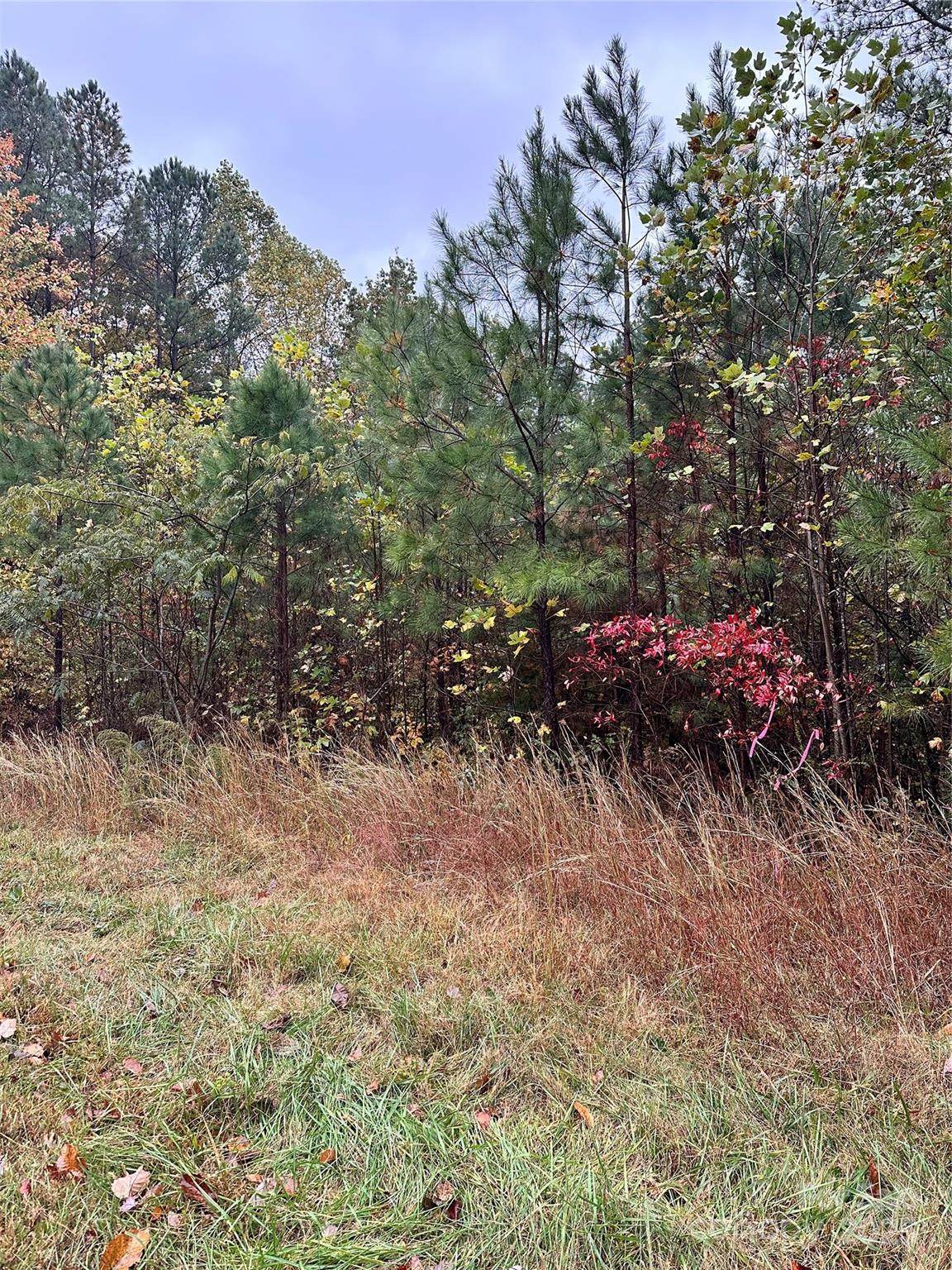 10.863 Acres Myers Mill Road - Photo 1