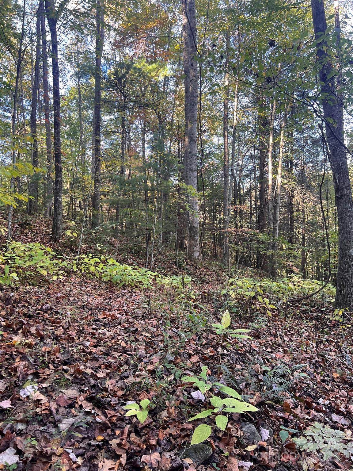 9999 Fox Town Road - Photo 1