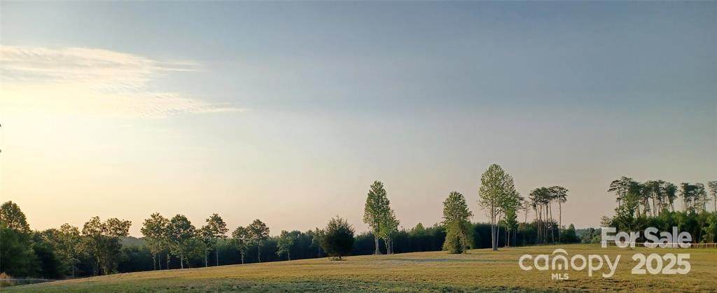 000 Jackson Hollow Lane - Photo 1