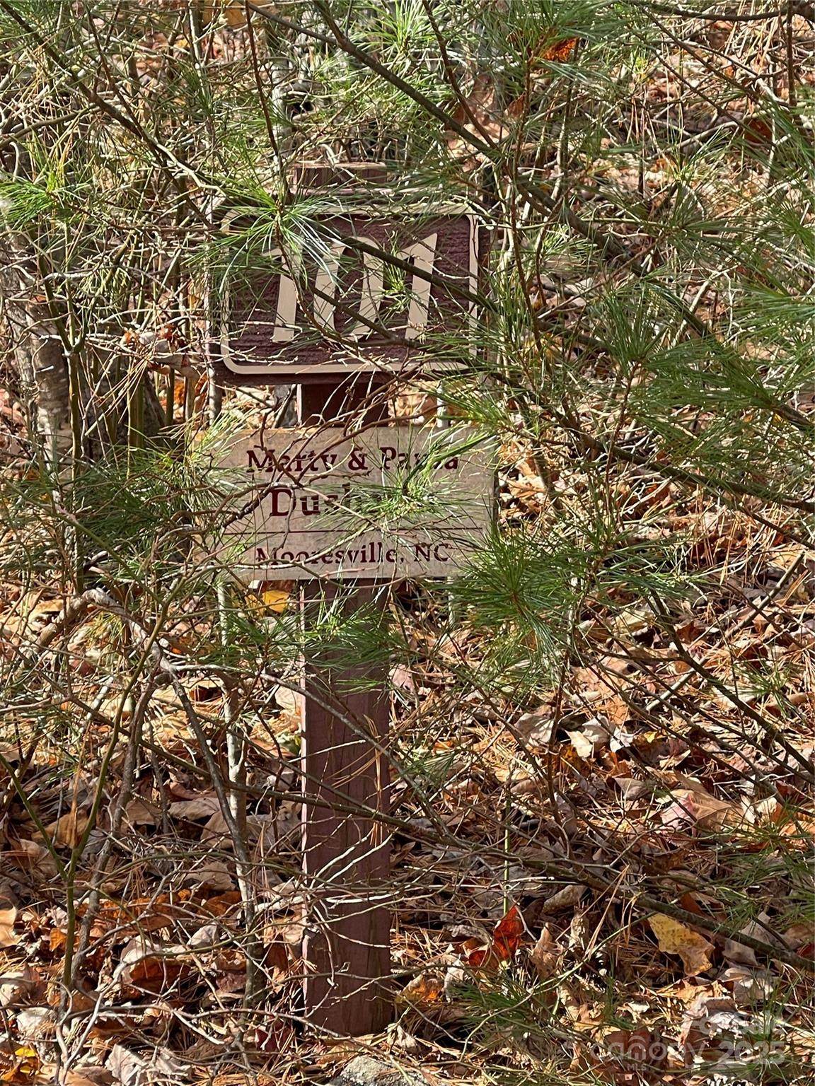 00 Pinnacle Falls Lane - Photo 1