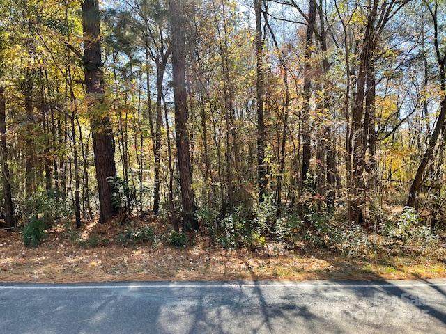 190 Henry Chapel Road - Photo 1