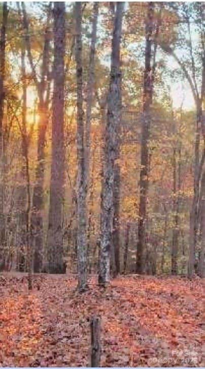 V/L Trellis Drive - Photo 1