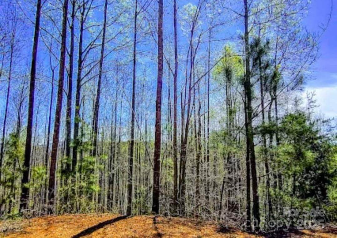 153 Westridge Drive - Photo 1