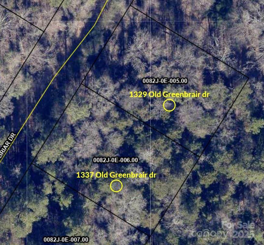 1329 Old Greenbriar Drive - Photo 1