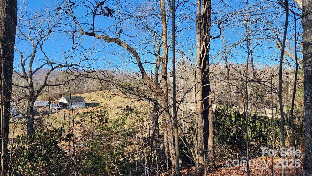 4 Coke Candler Lane - Photo 1