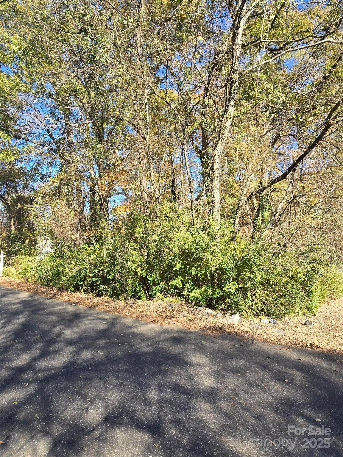 420 Killian Avenue - Photo 1