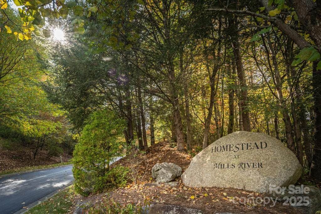 99999 Shining Rock Path - Photo 1