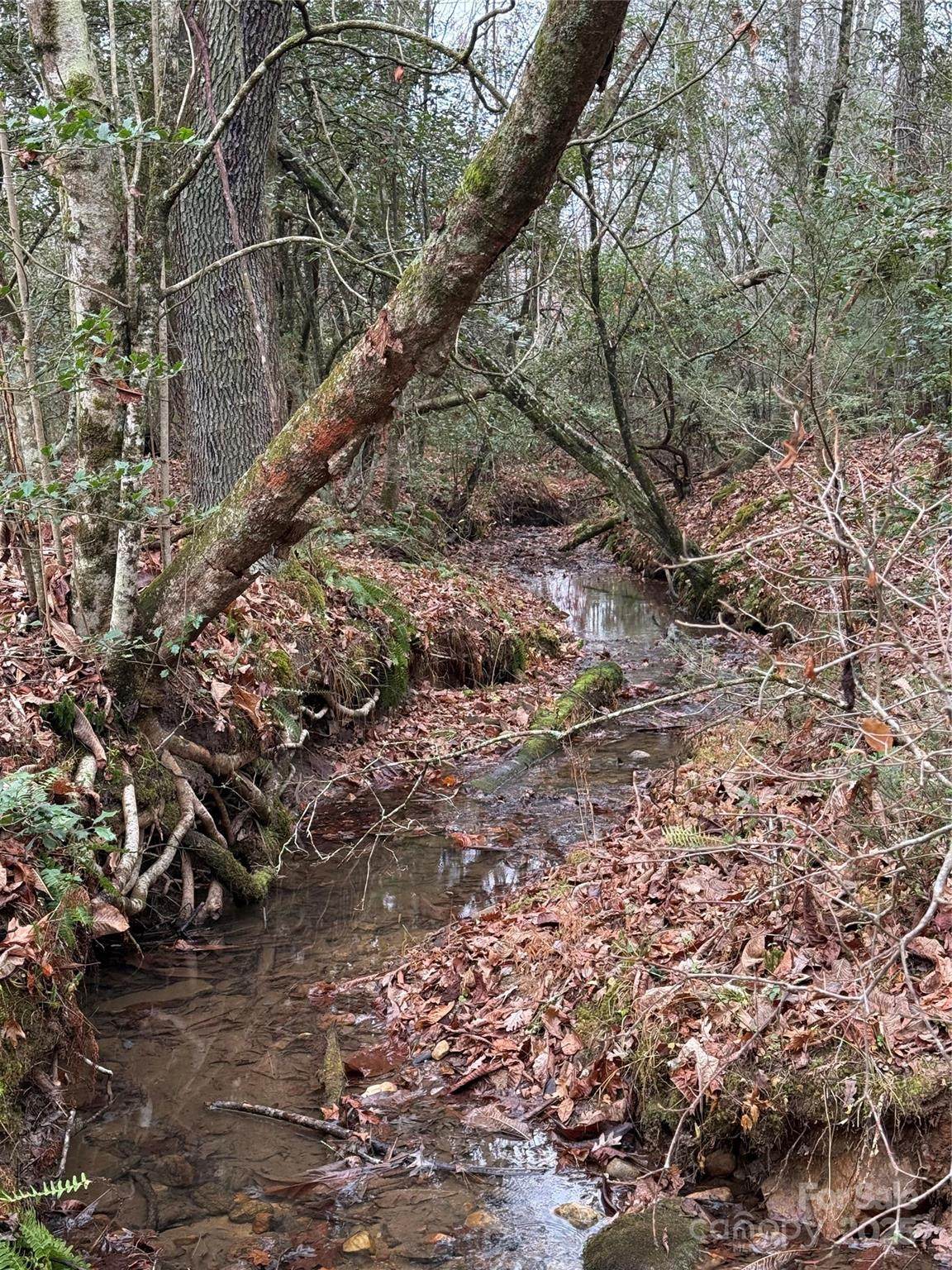 0 Oak Hill School Road - Photo 1