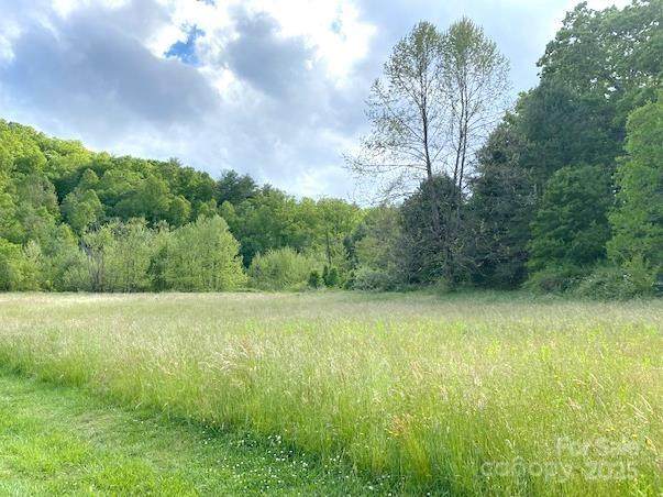 99999 Brevard Road - Photo 1