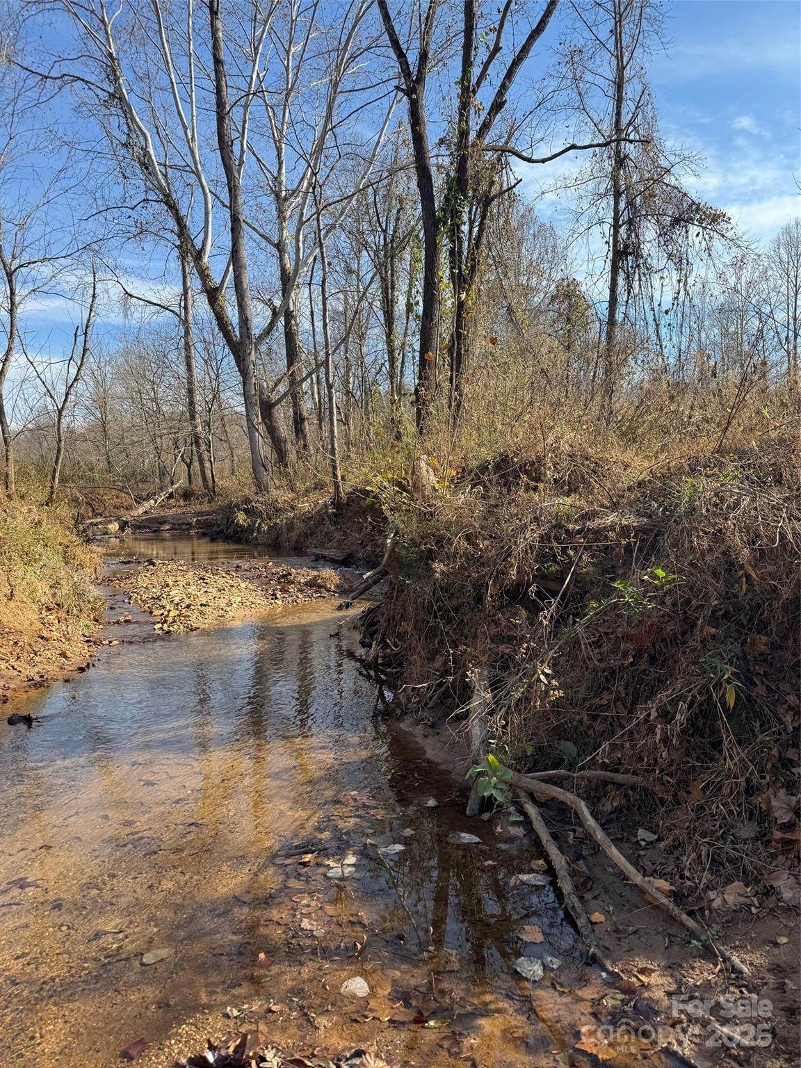 000 Thunder Road - Photo 1