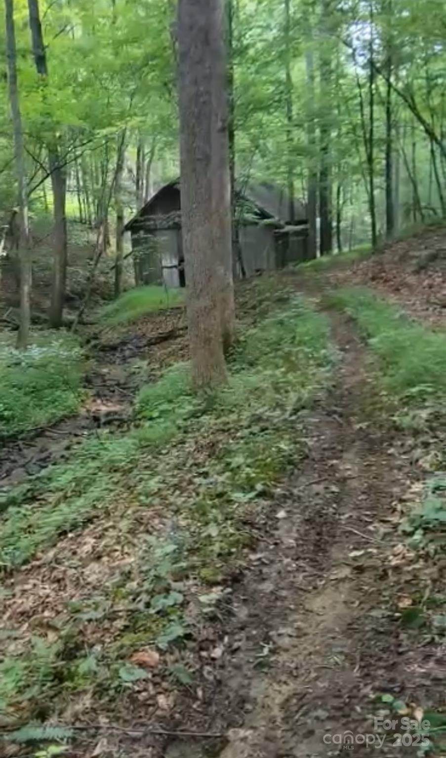 295 Bennett Branch Road - Photo 1