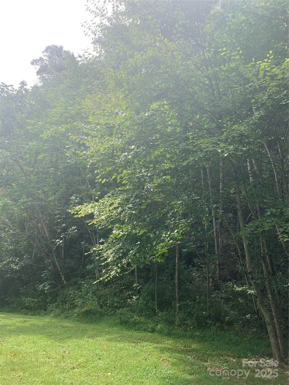 147 Splitrail Drive - Photo 1