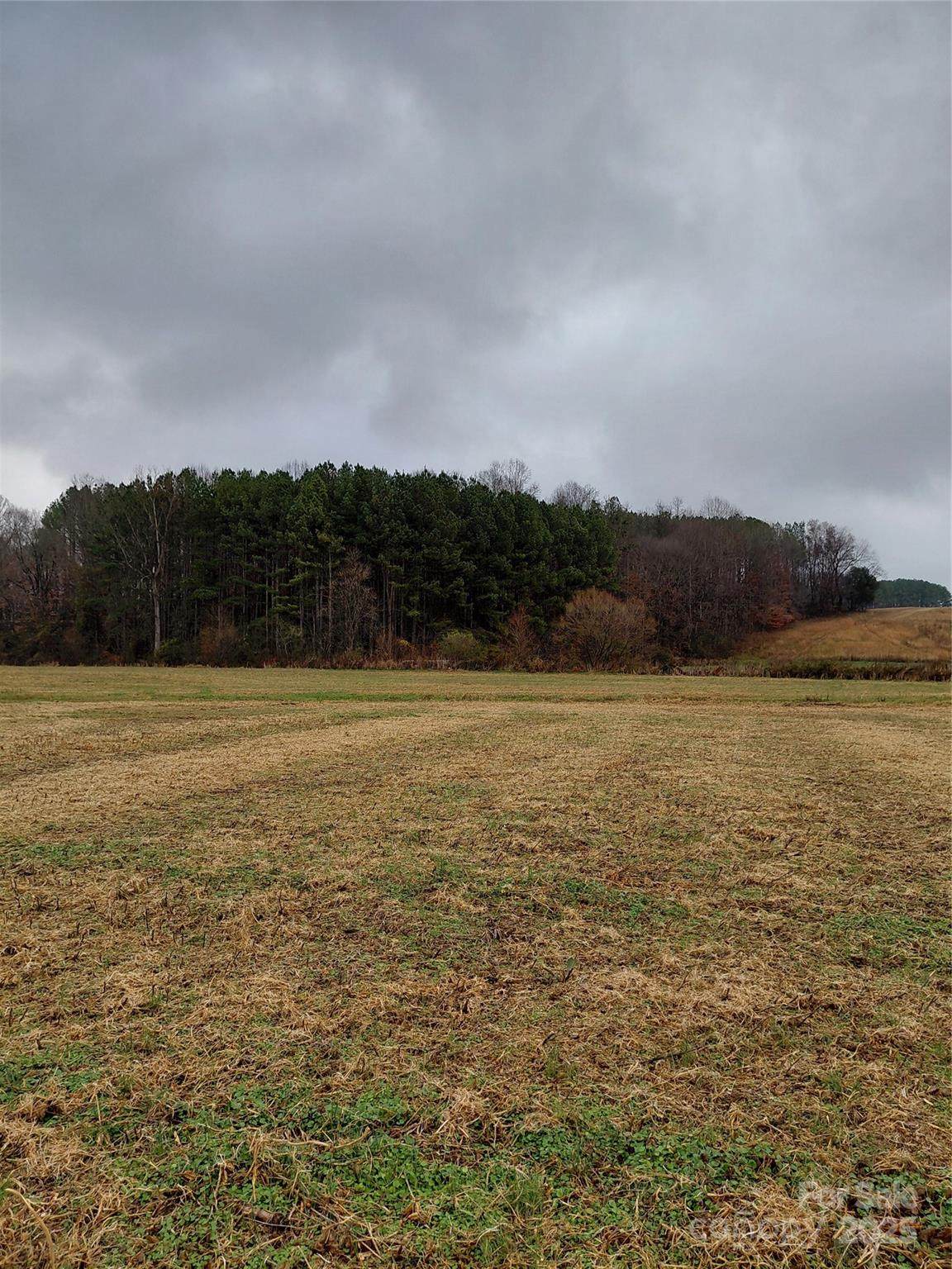 000 Hamlet Road - Photo 1