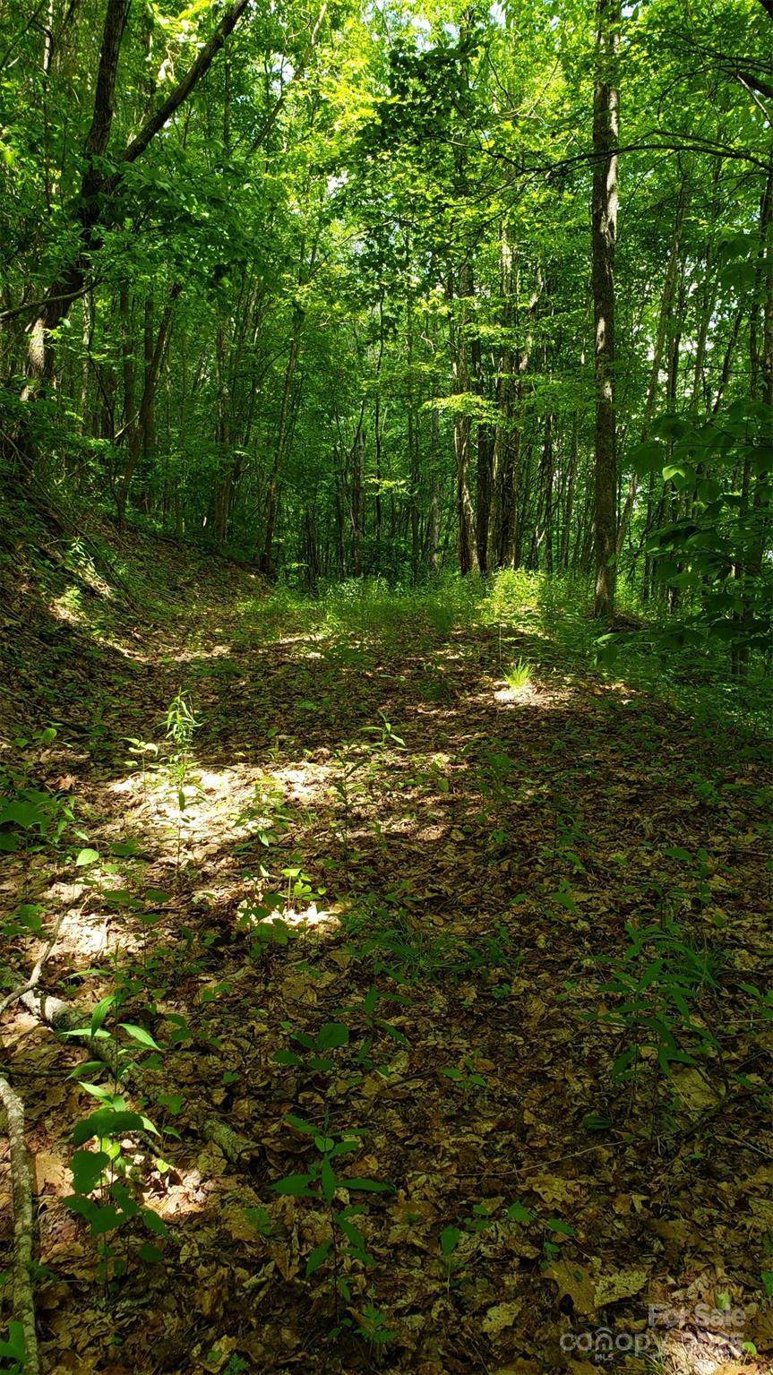 1111 Clubhouse Road - Photo 1