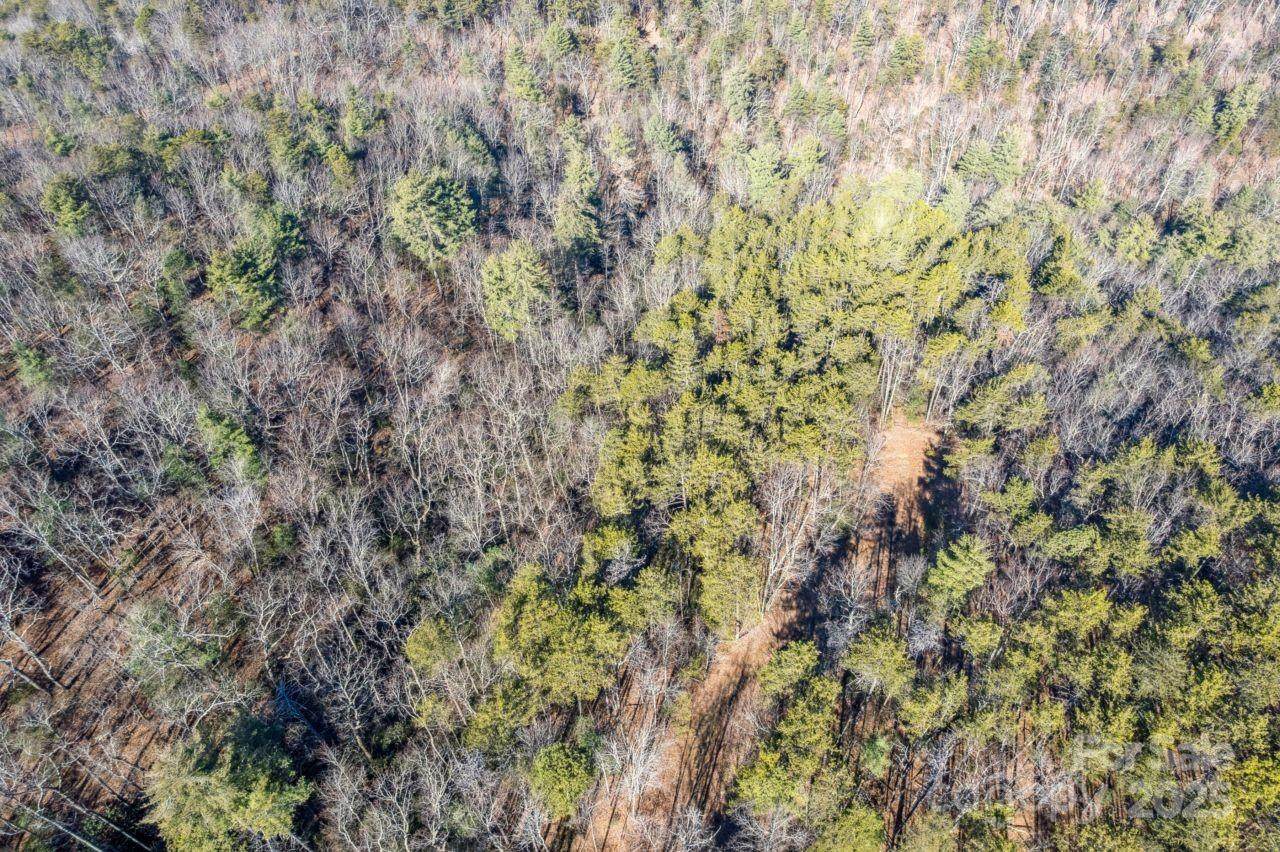 0 Sassafras Lane - Photo 1