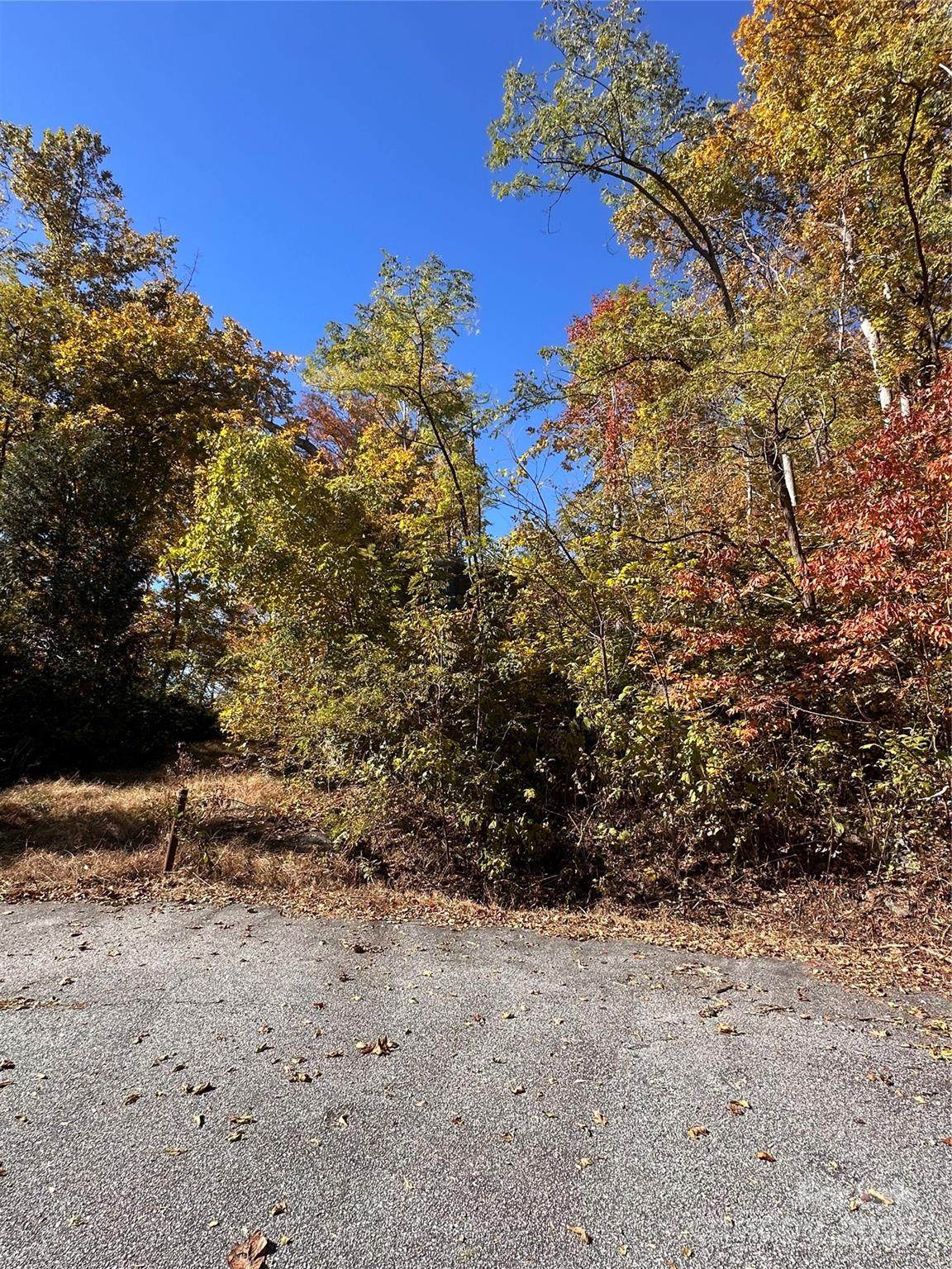 000 Cascada Vista Drive - Photo 1