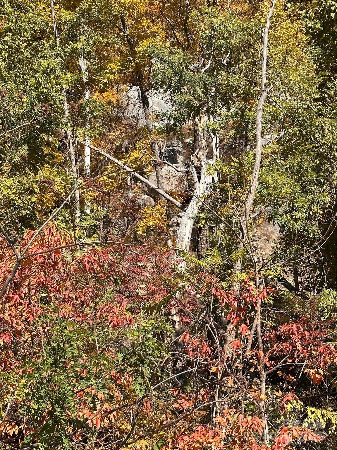 https://bt-photos.global.ssl.fastly.net/cmls/orig_boomver_1_4331493-1.jpg