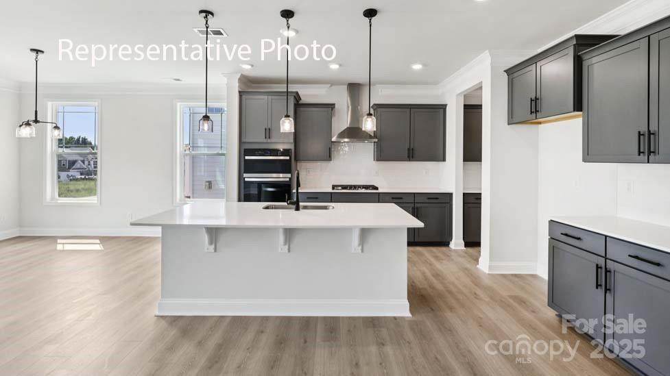 3043 Canvasback Way - Photo 1