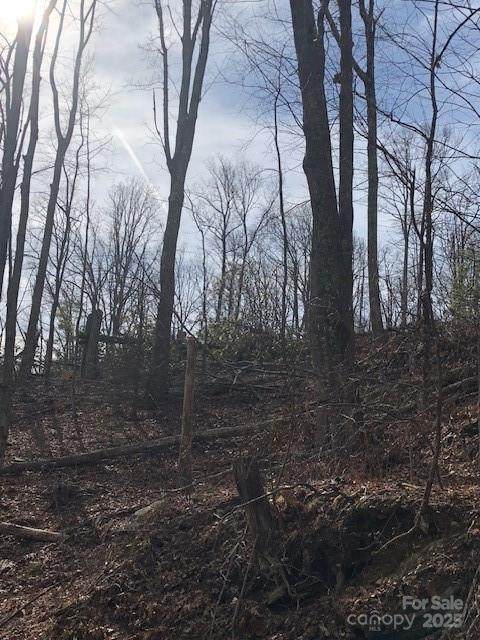 000 Marshall Ridge Road - Photo 1