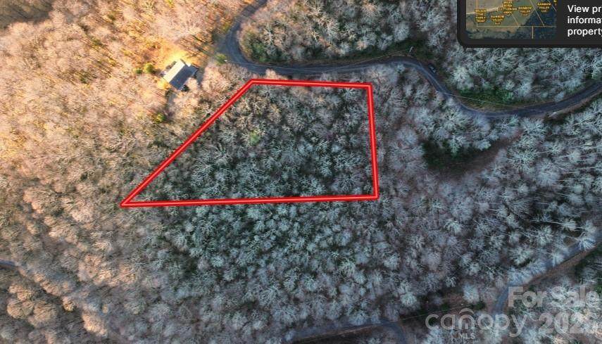 Lot 32 Bear Hollow Road - Photo 1