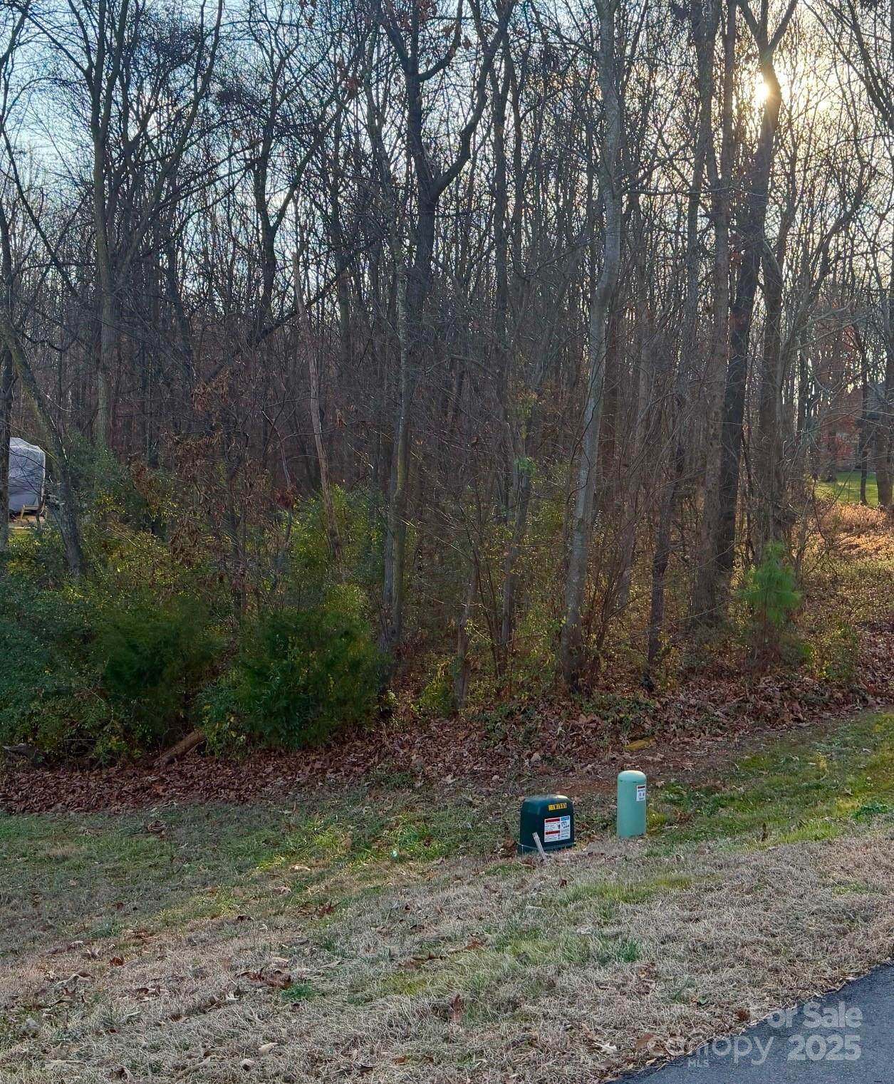 2010 Parrothead Drive - Photo 1