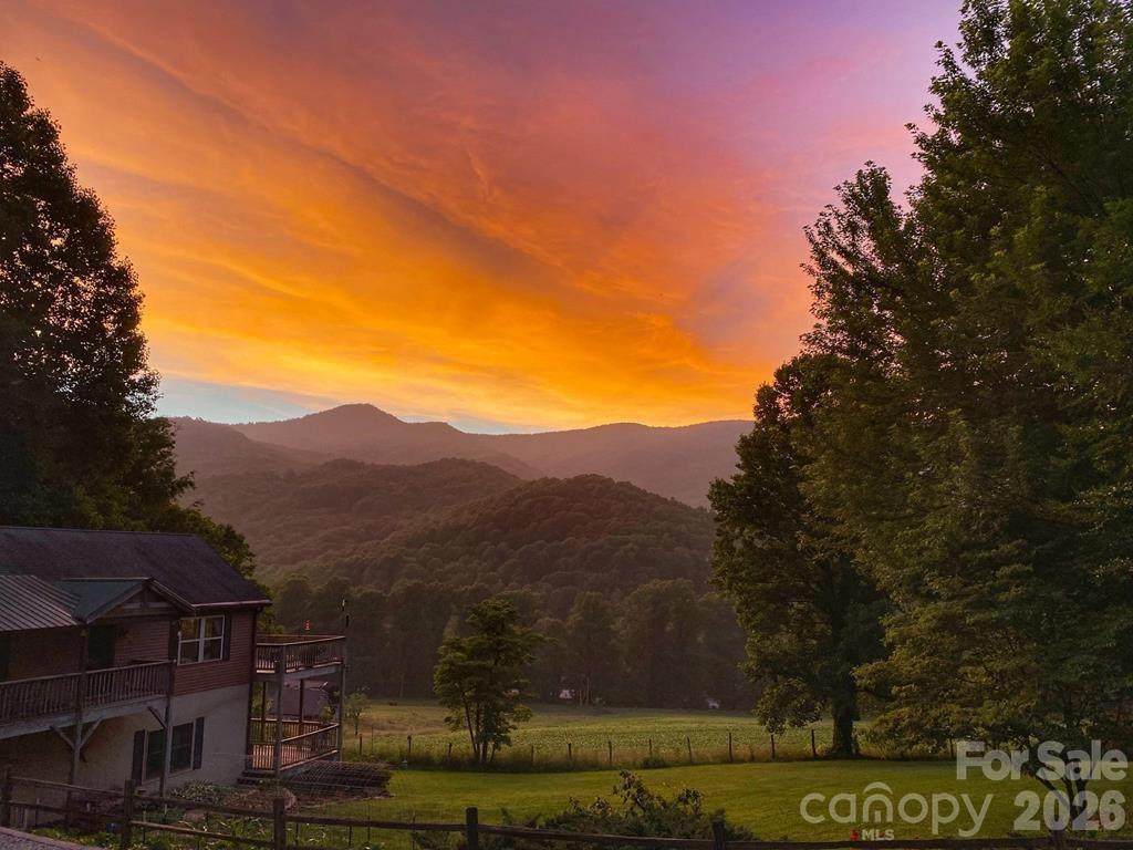 262 Sams Trail - Photo 1